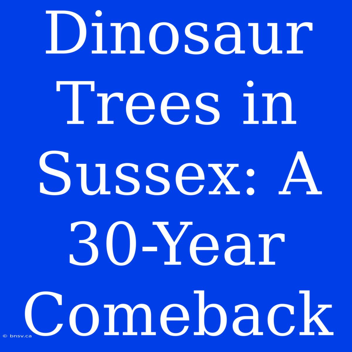 Dinosaur Trees In Sussex: A 30-Year Comeback