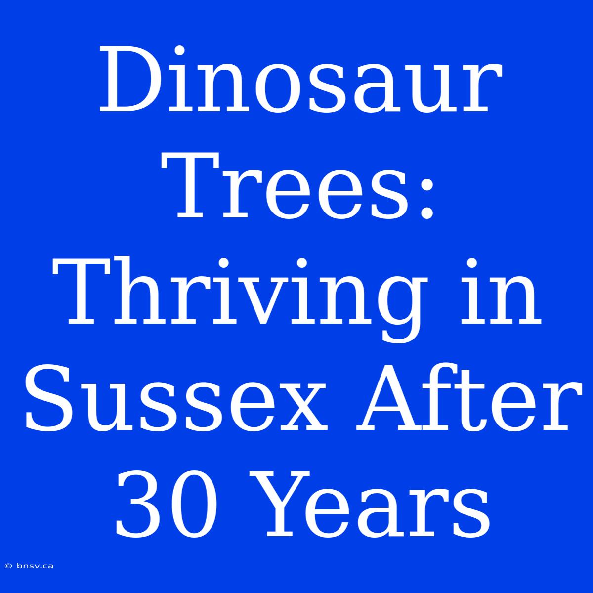 Dinosaur Trees: Thriving In Sussex After 30 Years