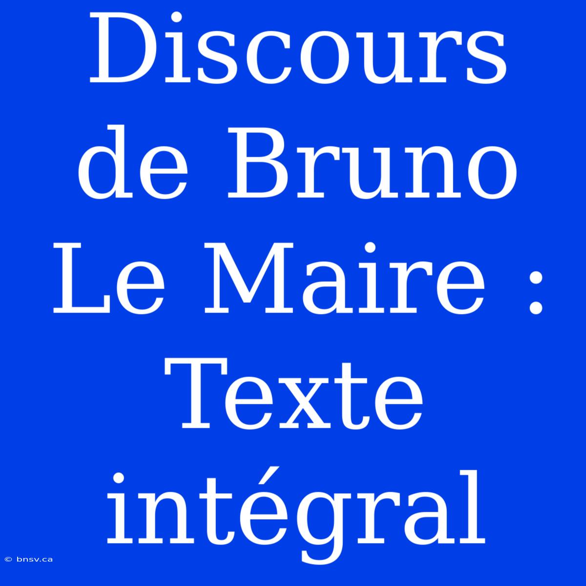 Discours De Bruno Le Maire : Texte Intégral