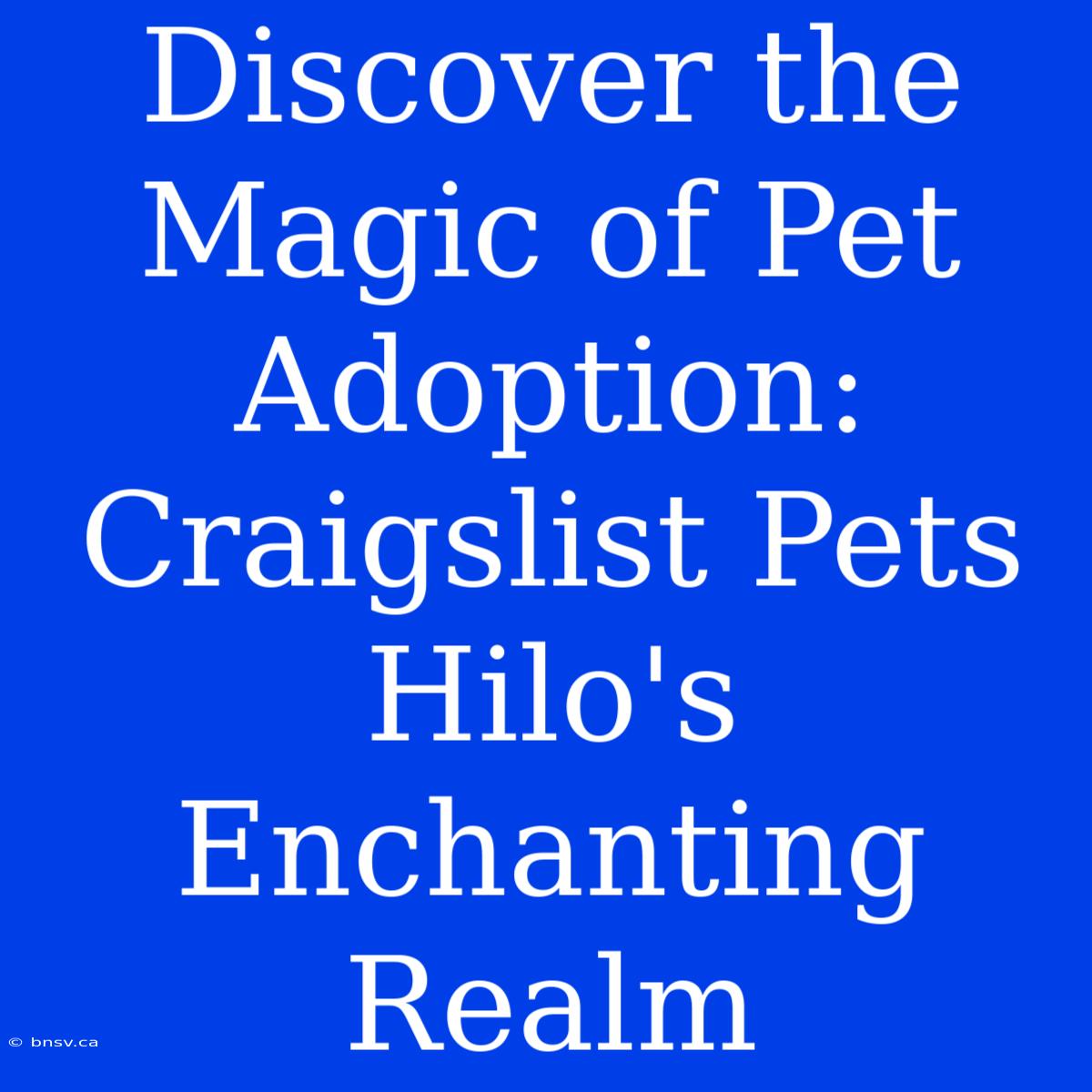 Discover The Magic Of Pet Adoption: Craigslist Pets Hilo's Enchanting Realm