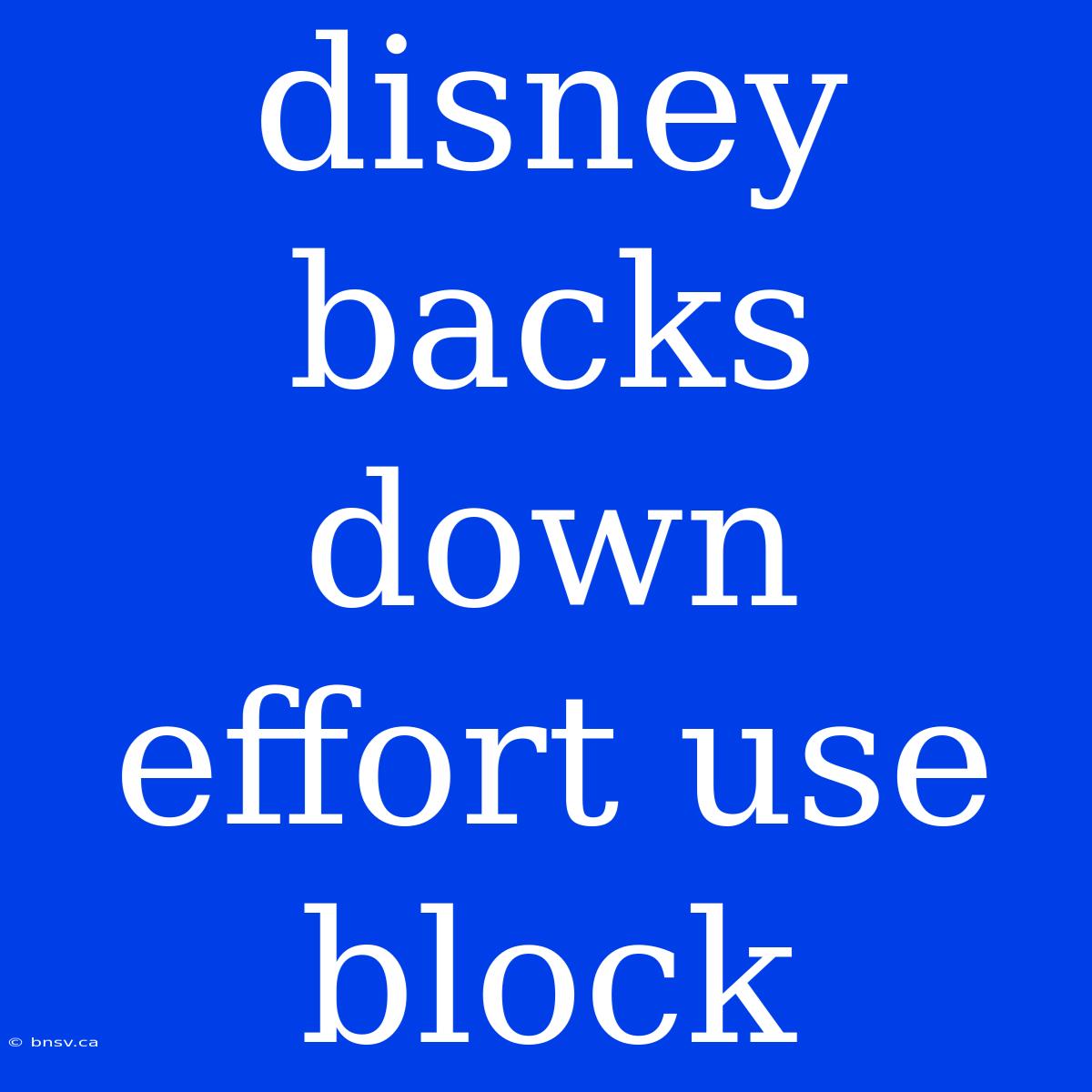 Disney Backs Down Effort Use Block