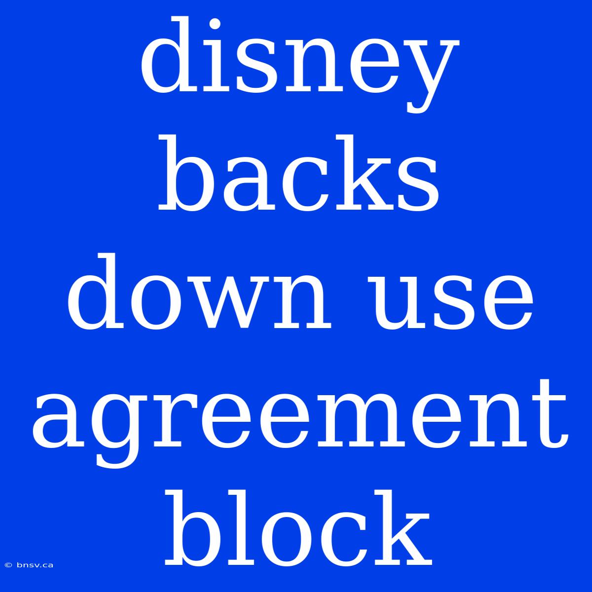 Disney Backs Down Use Agreement Block