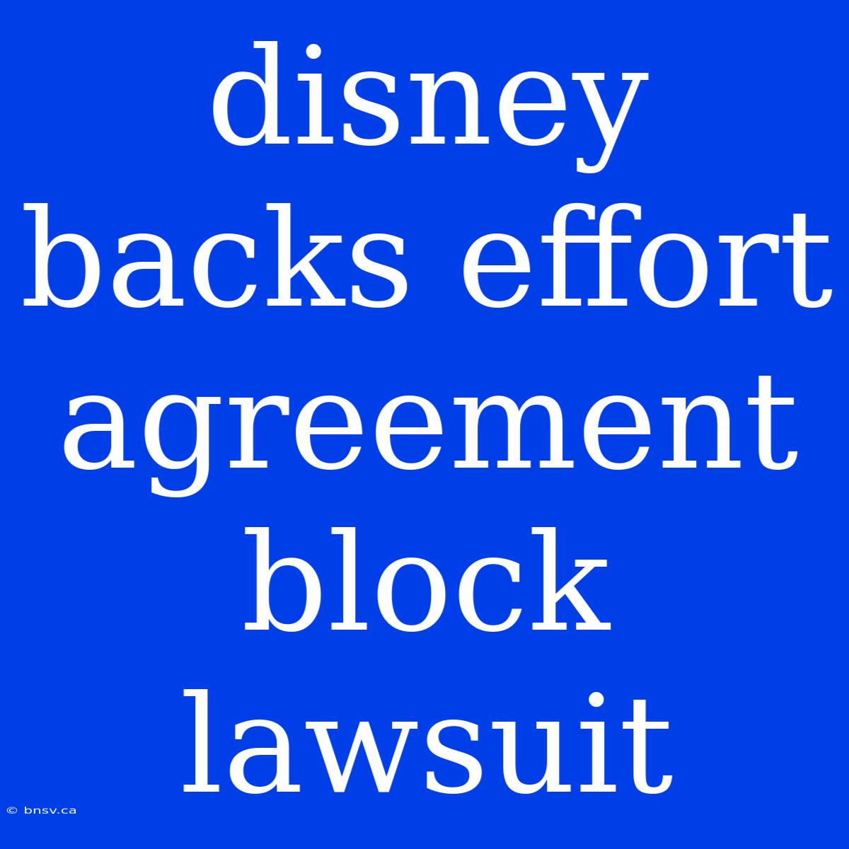 Disney Backs Effort Agreement Block Lawsuit