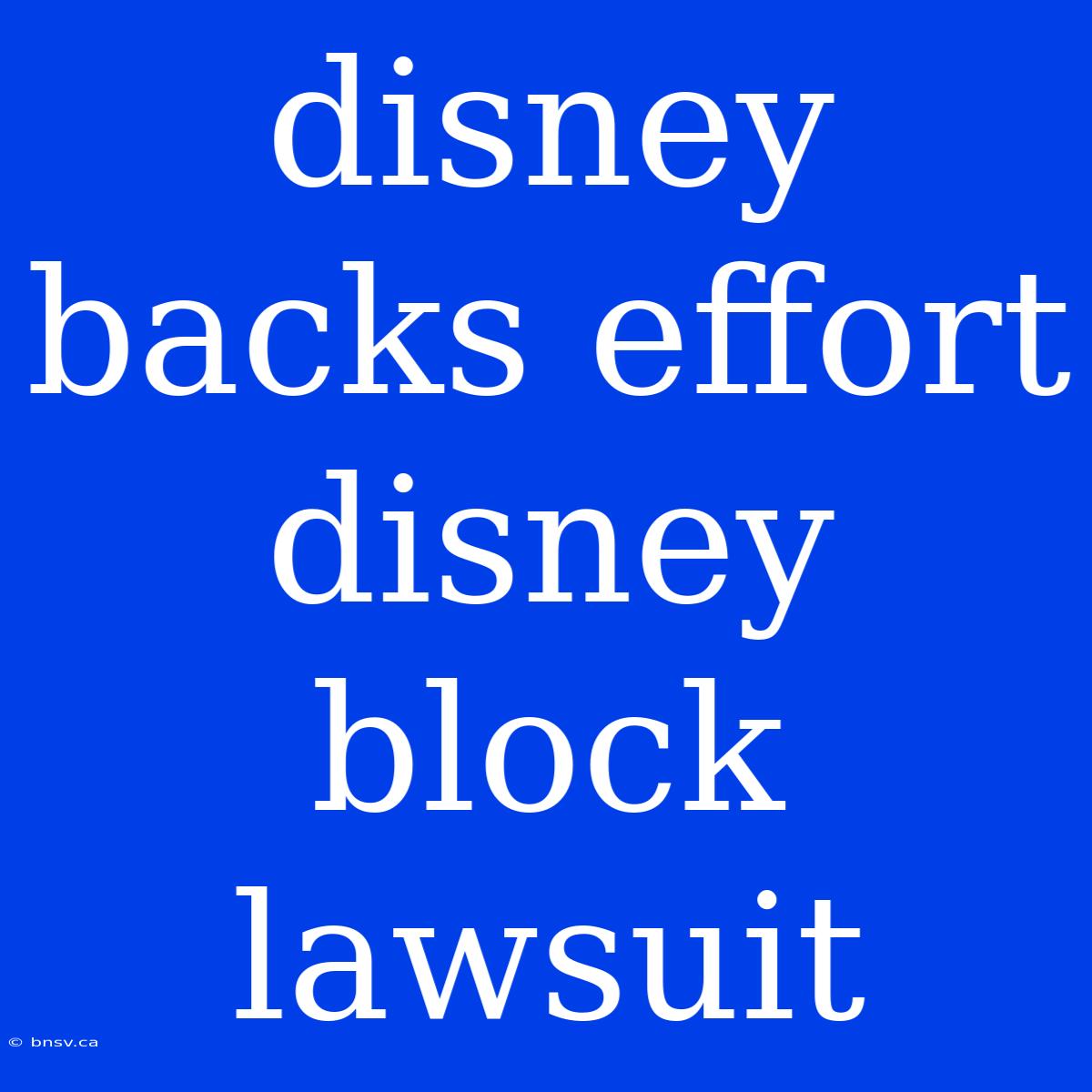 Disney Backs Effort Disney Block Lawsuit