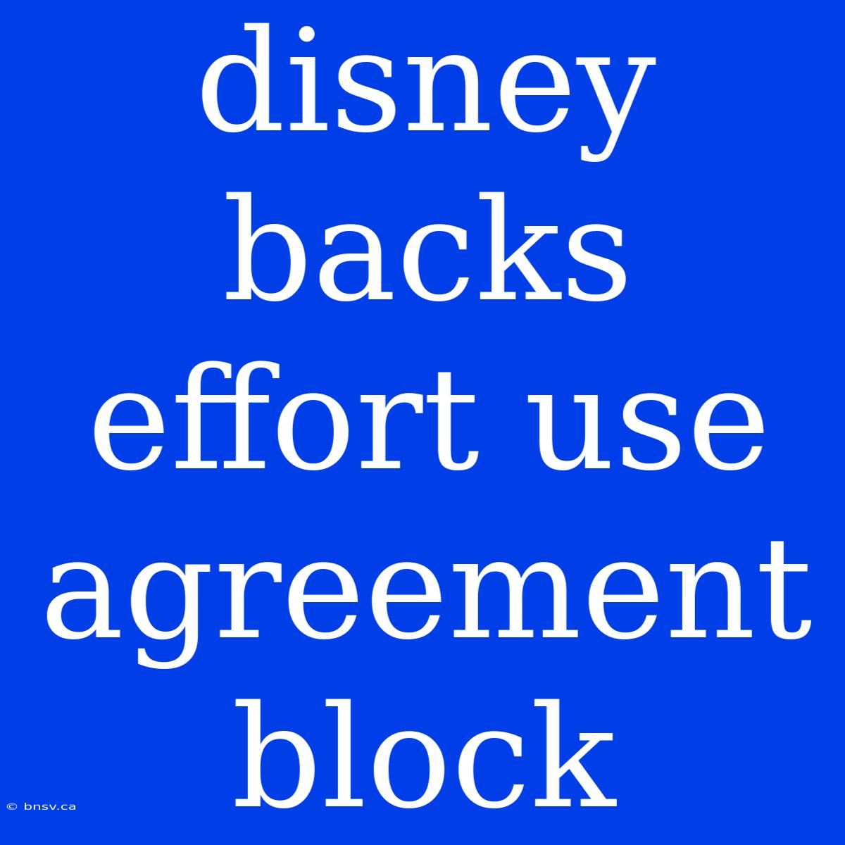 Disney Backs Effort Use Agreement Block