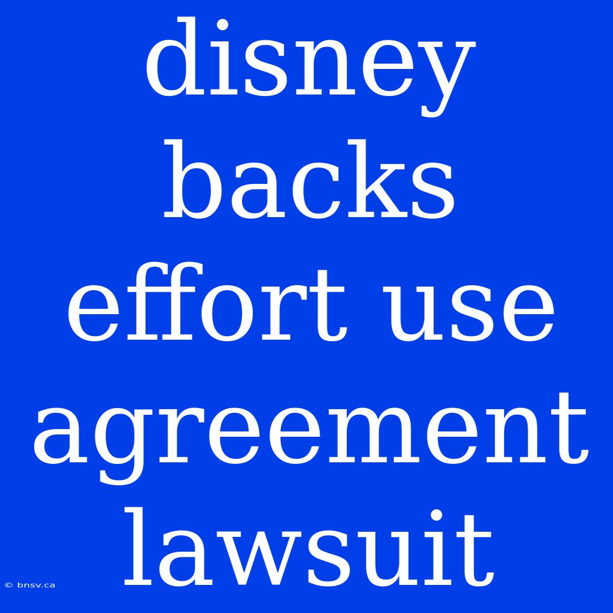 Disney Backs Effort Use Agreement Lawsuit