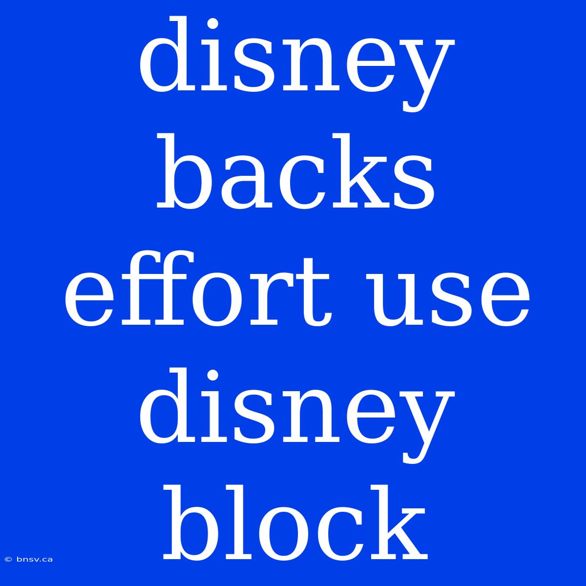 Disney Backs Effort Use Disney Block