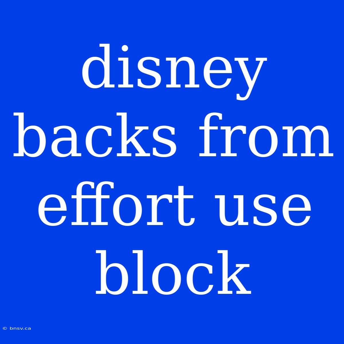 Disney Backs From Effort Use Block