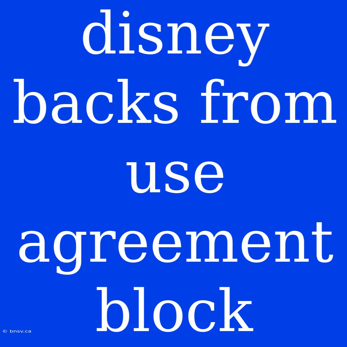 Disney Backs From Use Agreement Block