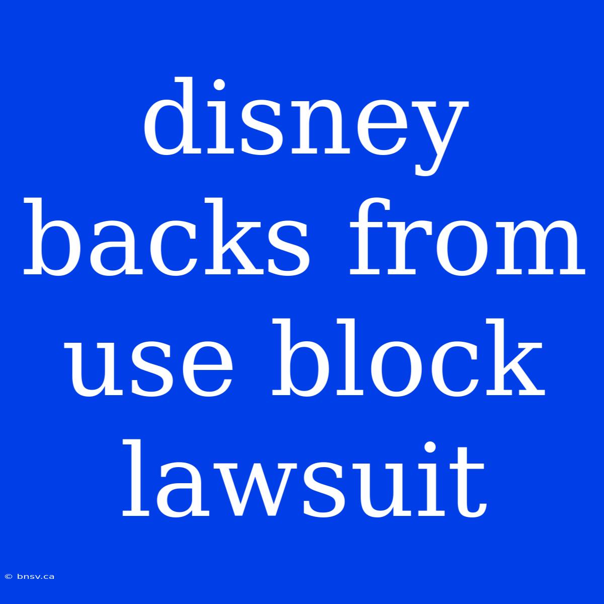 Disney Backs From Use Block Lawsuit