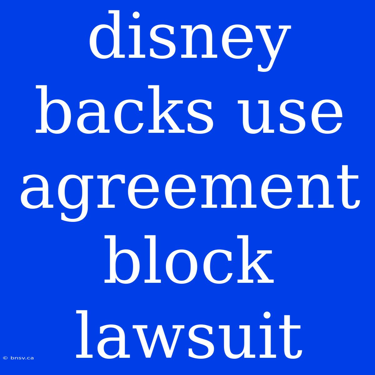 Disney Backs Use Agreement Block Lawsuit