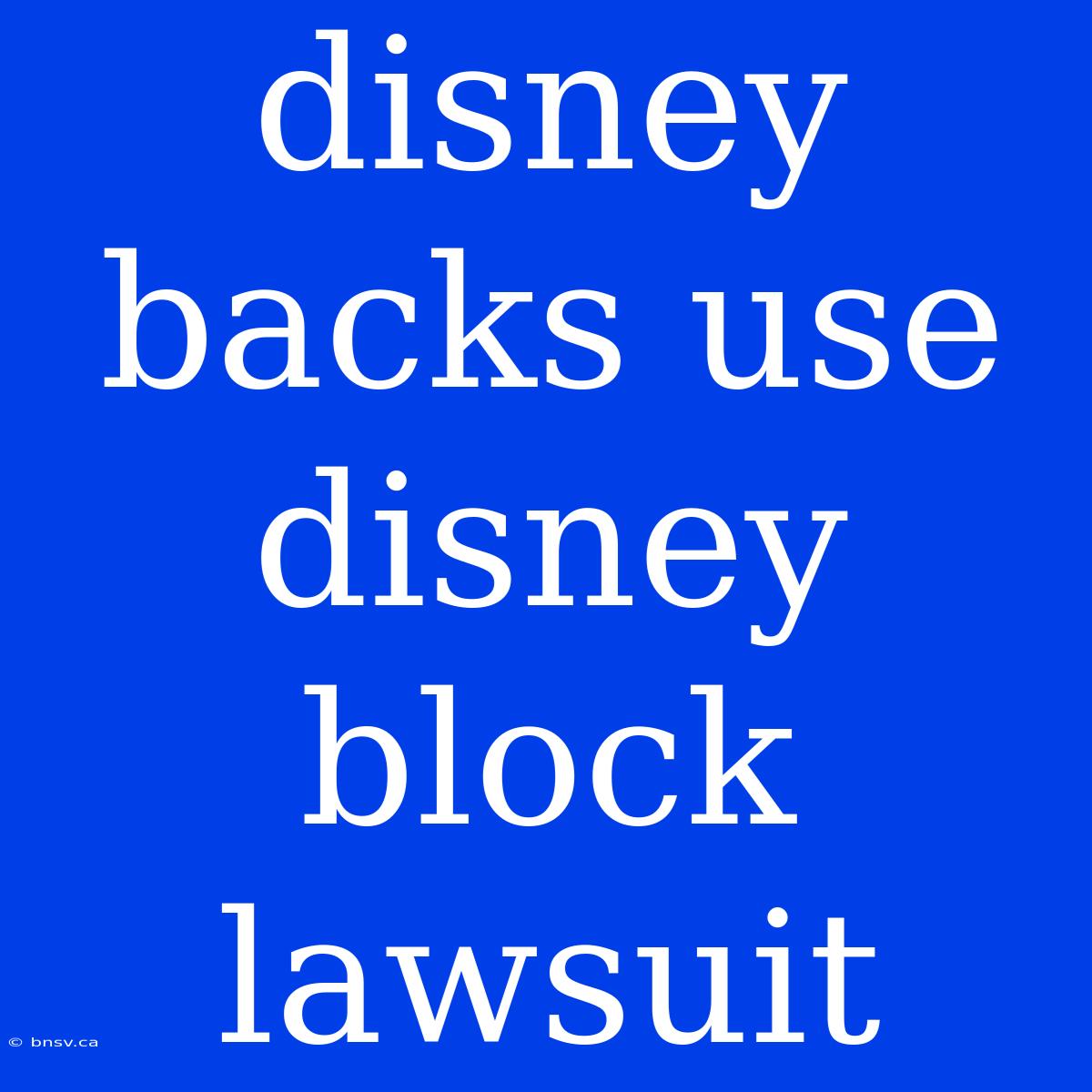 Disney Backs Use Disney Block Lawsuit