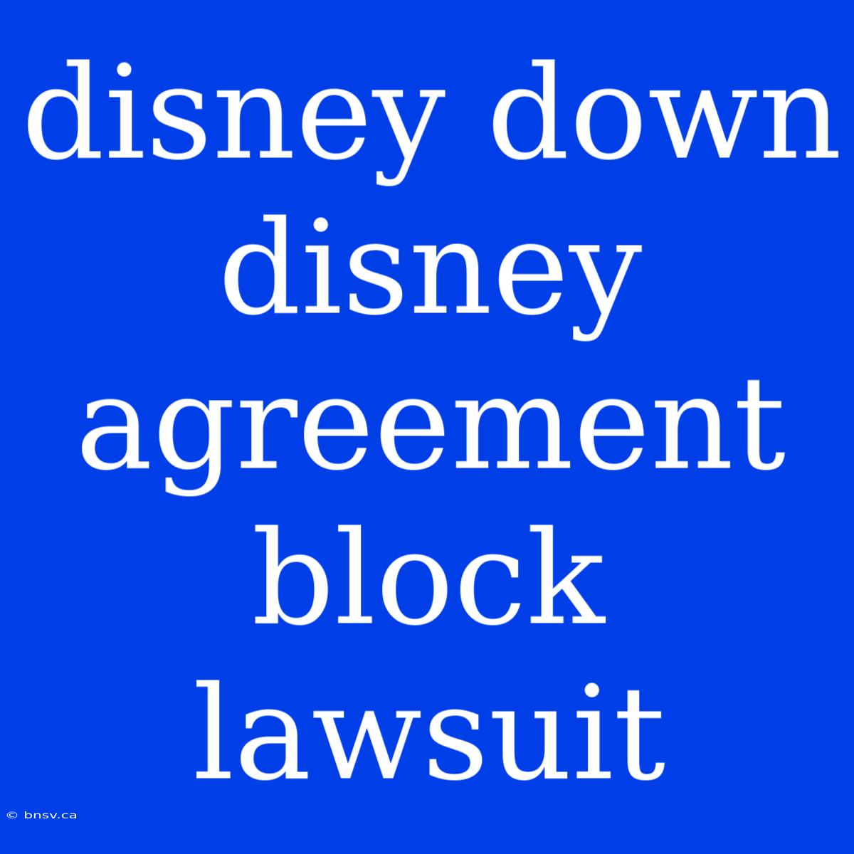 Disney Down Disney Agreement Block Lawsuit