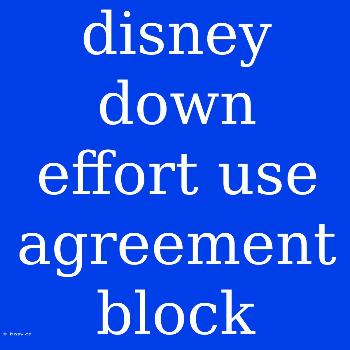 Disney Down Effort Use Agreement Block