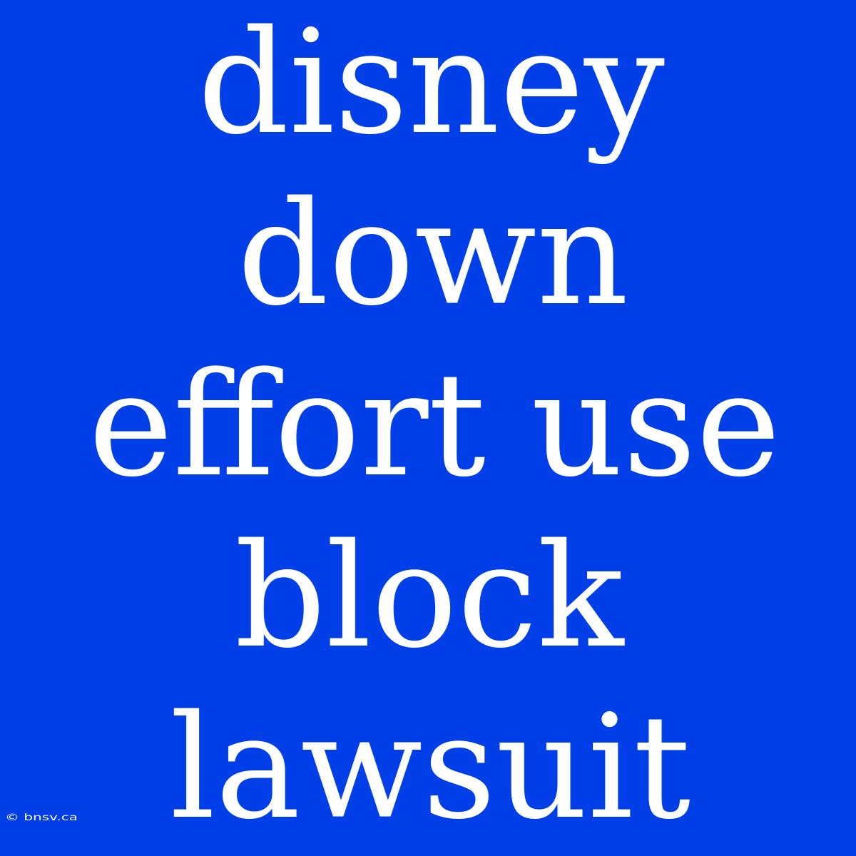 Disney Down Effort Use Block Lawsuit