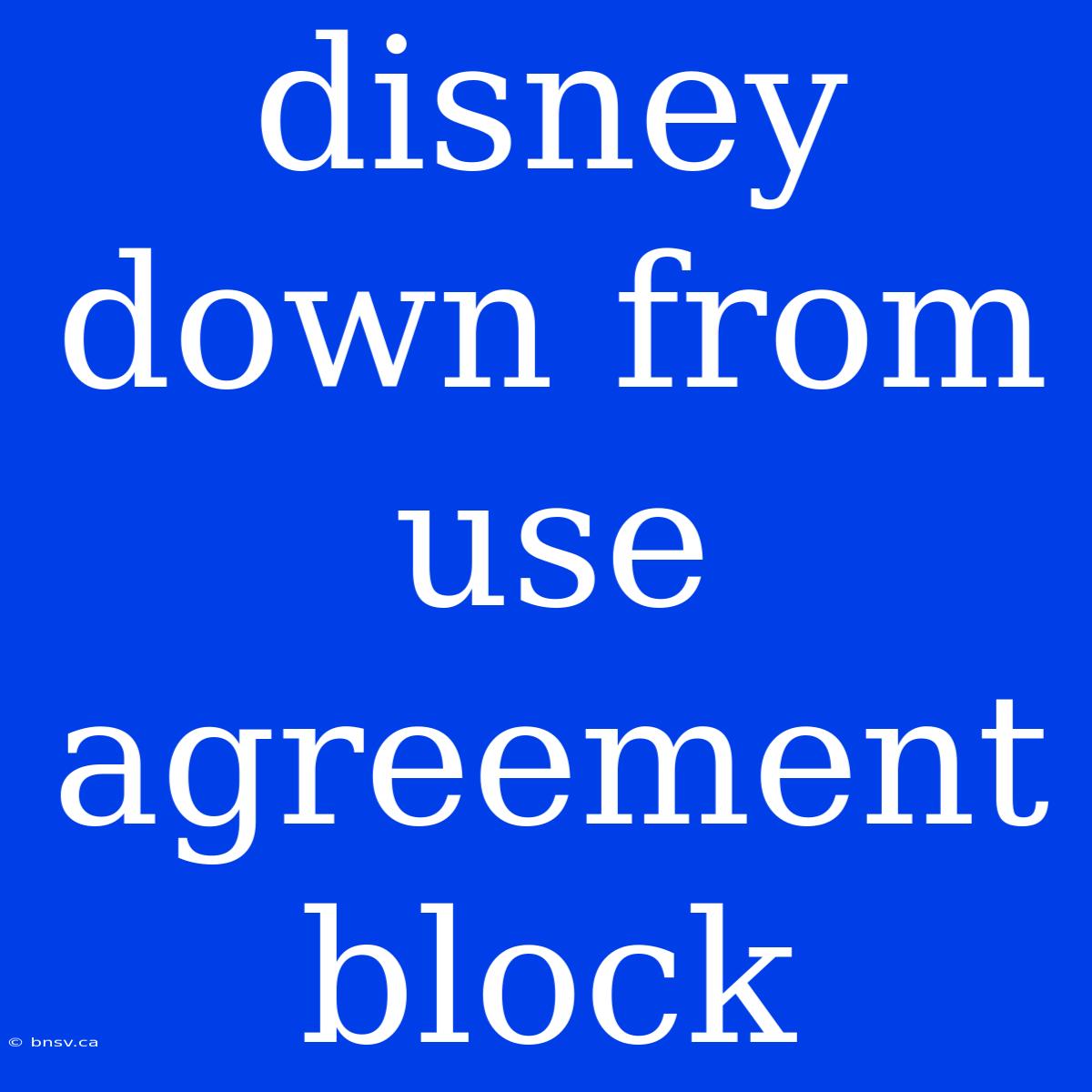 Disney Down From Use Agreement Block