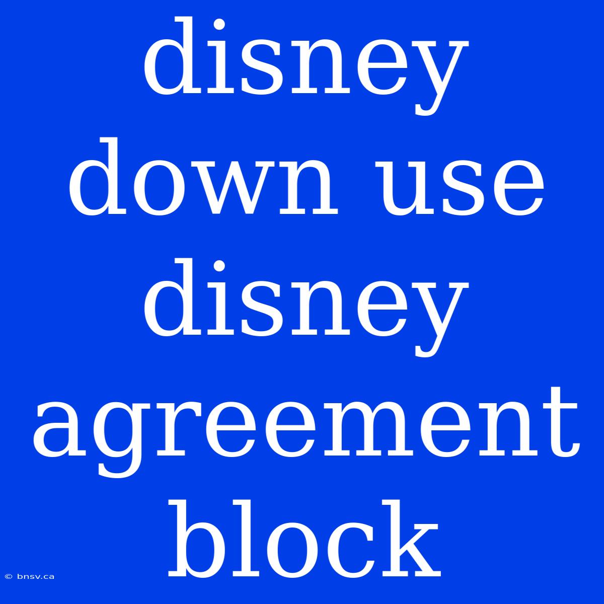 Disney Down Use Disney Agreement Block