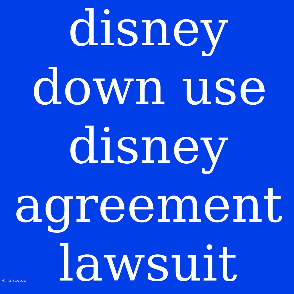 Disney Down Use Disney Agreement Lawsuit