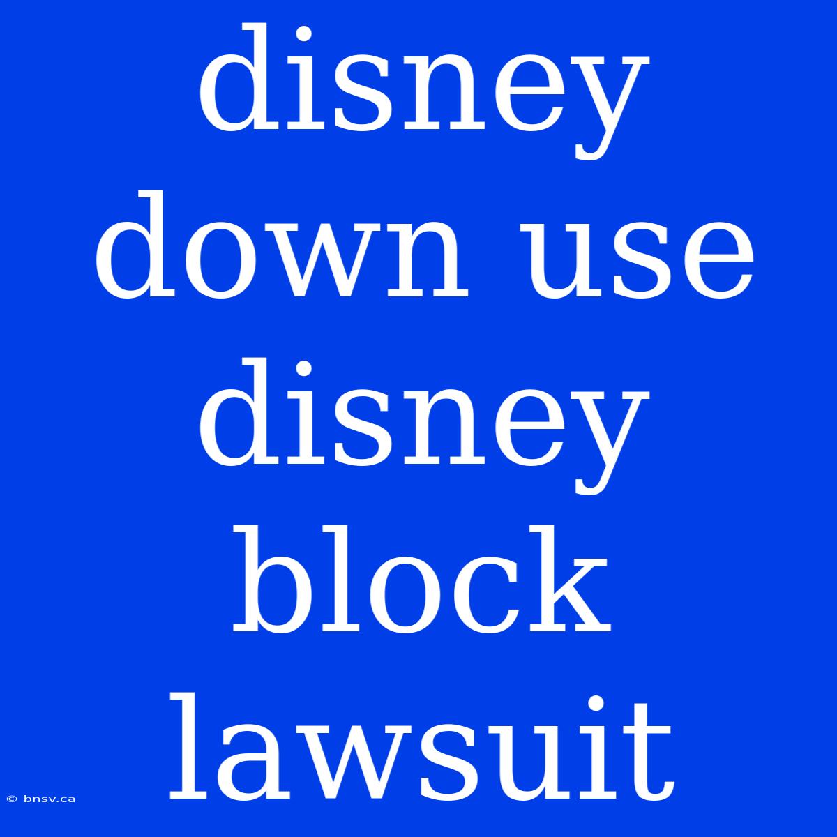 Disney Down Use Disney Block Lawsuit