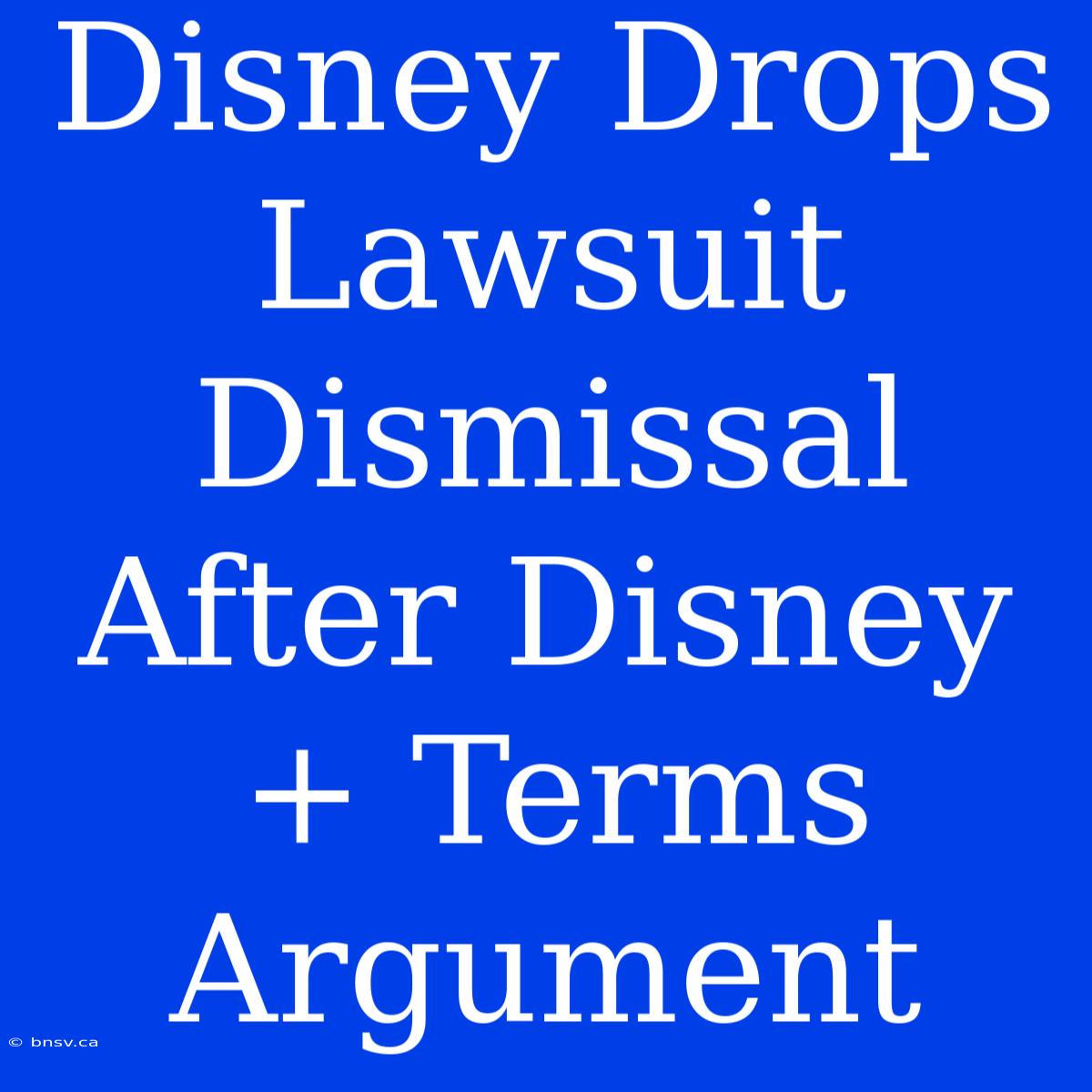 Disney Drops Lawsuit Dismissal After Disney+ Terms Argument