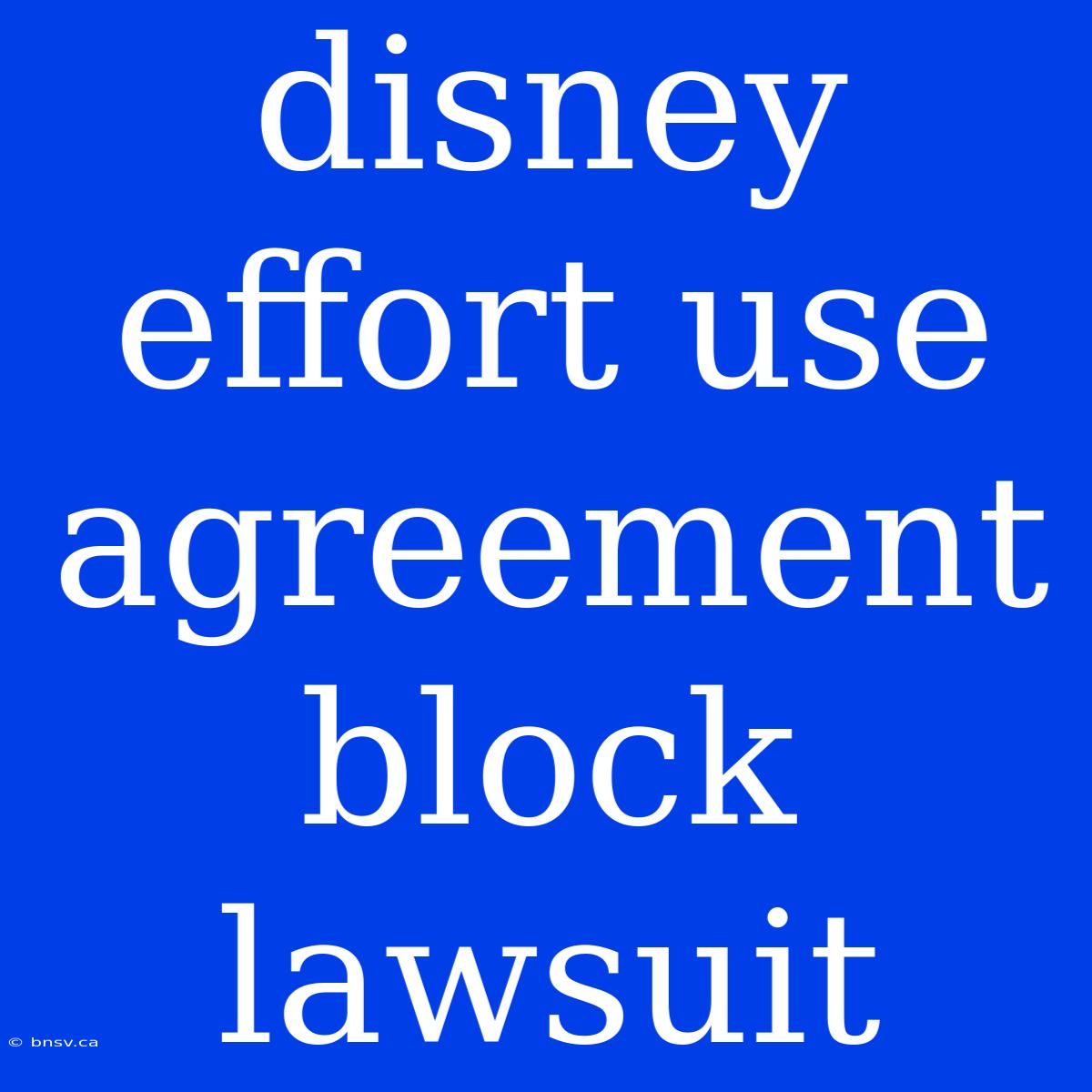 Disney Effort Use Agreement Block Lawsuit