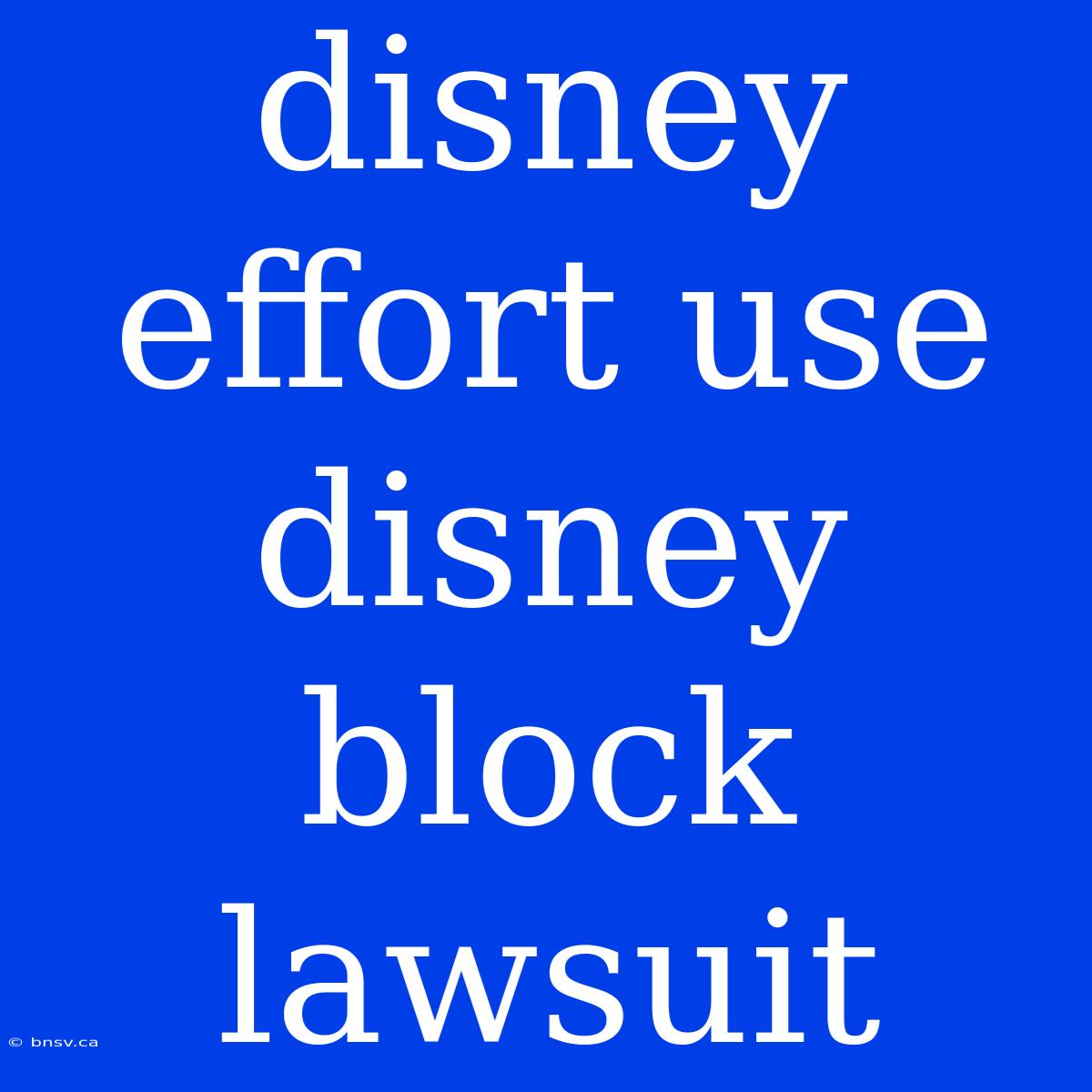 Disney Effort Use Disney Block Lawsuit