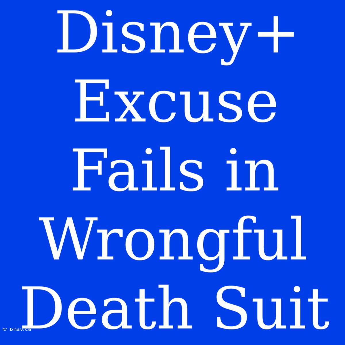 Disney+ Excuse Fails In Wrongful Death Suit