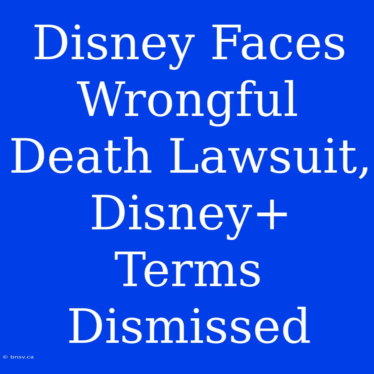 Disney Faces Wrongful Death Lawsuit, Disney+ Terms Dismissed