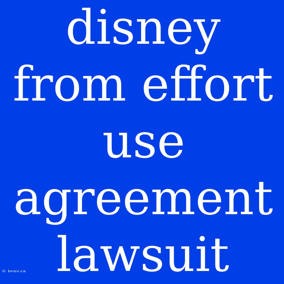 Disney From Effort Use Agreement Lawsuit