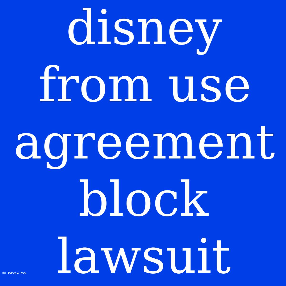 Disney From Use Agreement Block Lawsuit