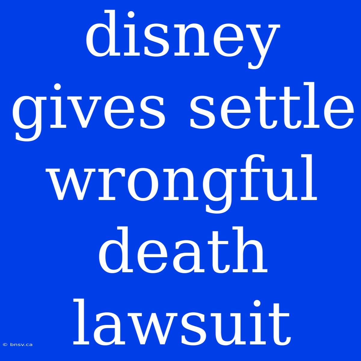 Disney Gives Settle Wrongful Death Lawsuit