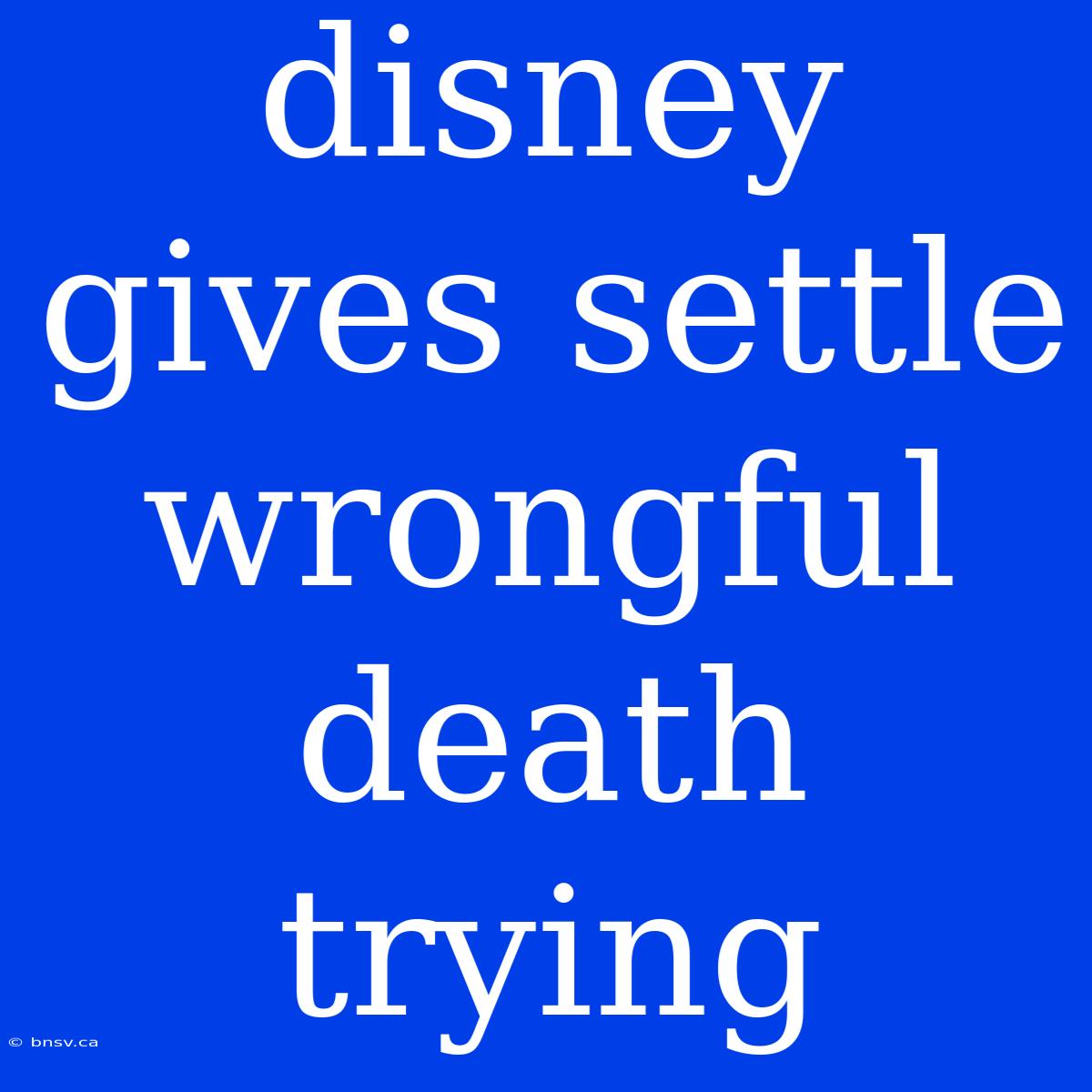 Disney Gives Settle Wrongful Death Trying