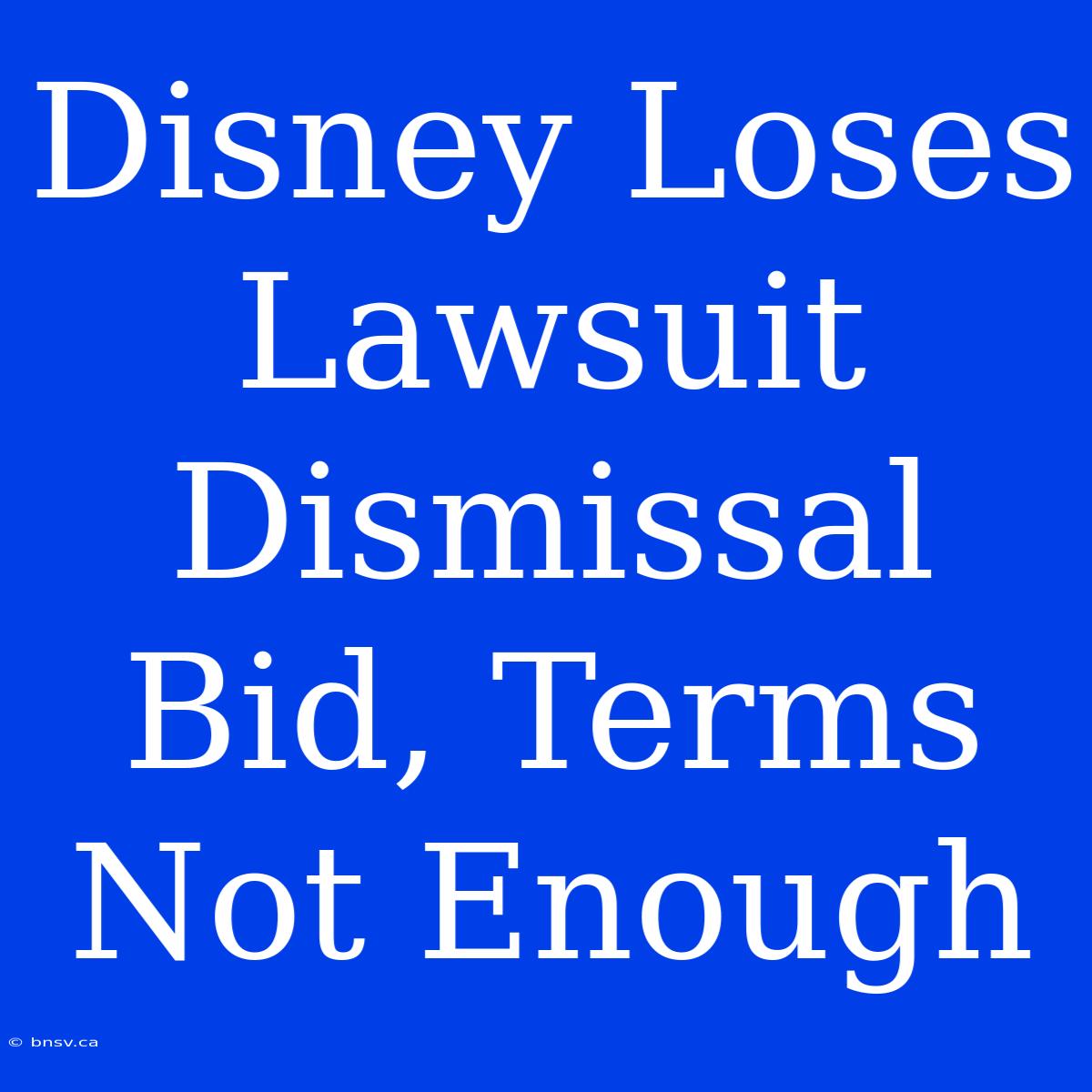 Disney Loses Lawsuit Dismissal Bid, Terms Not Enough