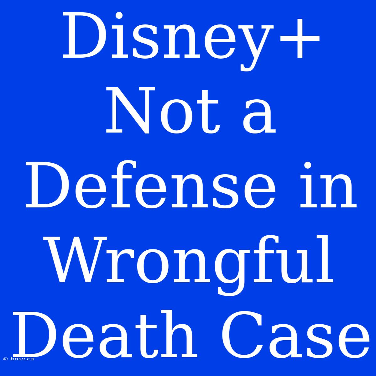 Disney+ Not A Defense In Wrongful Death Case