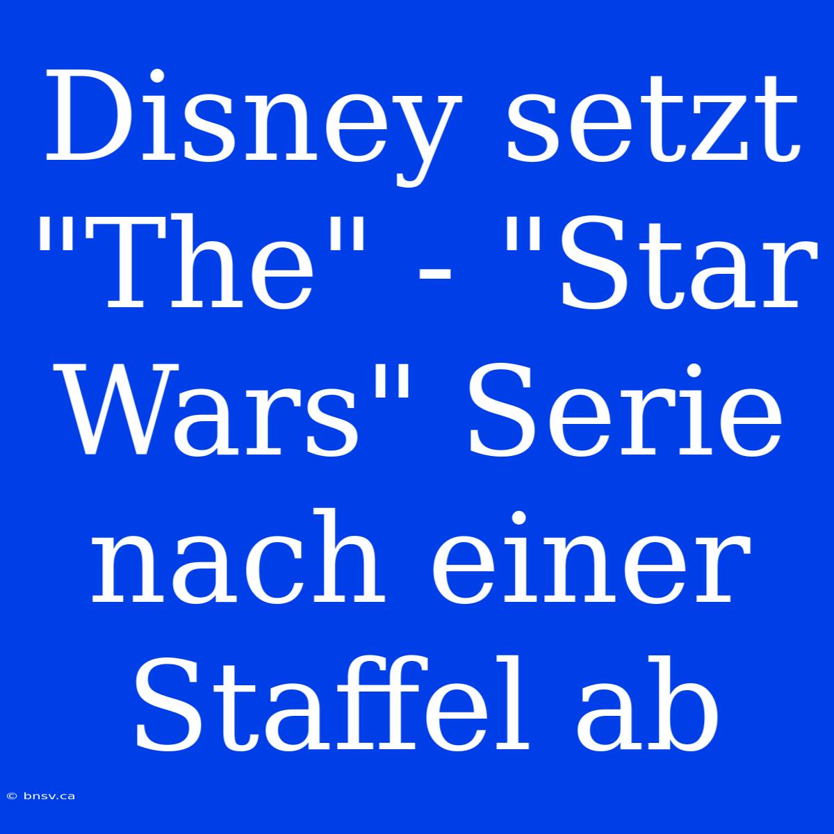 Disney Setzt 