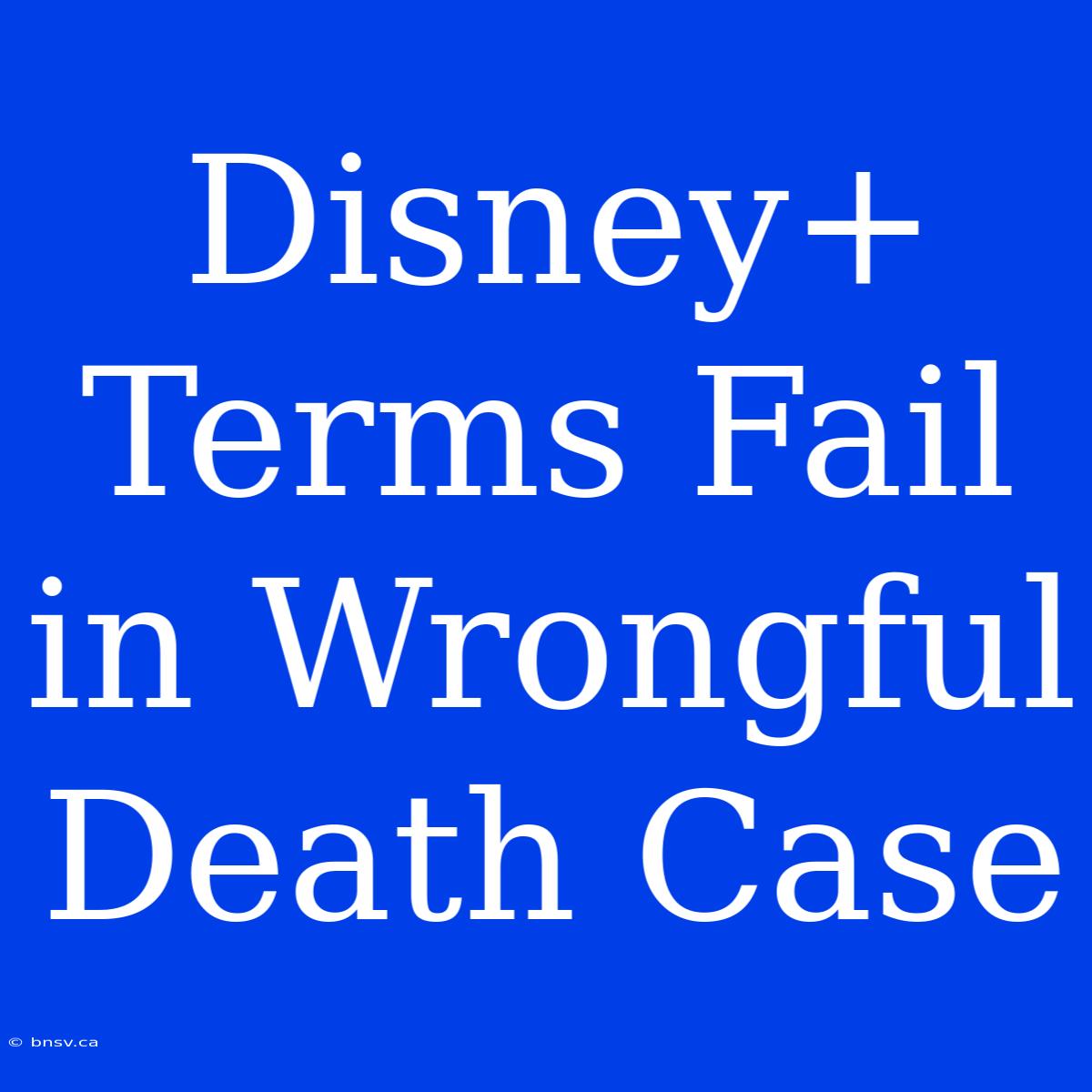 Disney+ Terms Fail In Wrongful Death Case