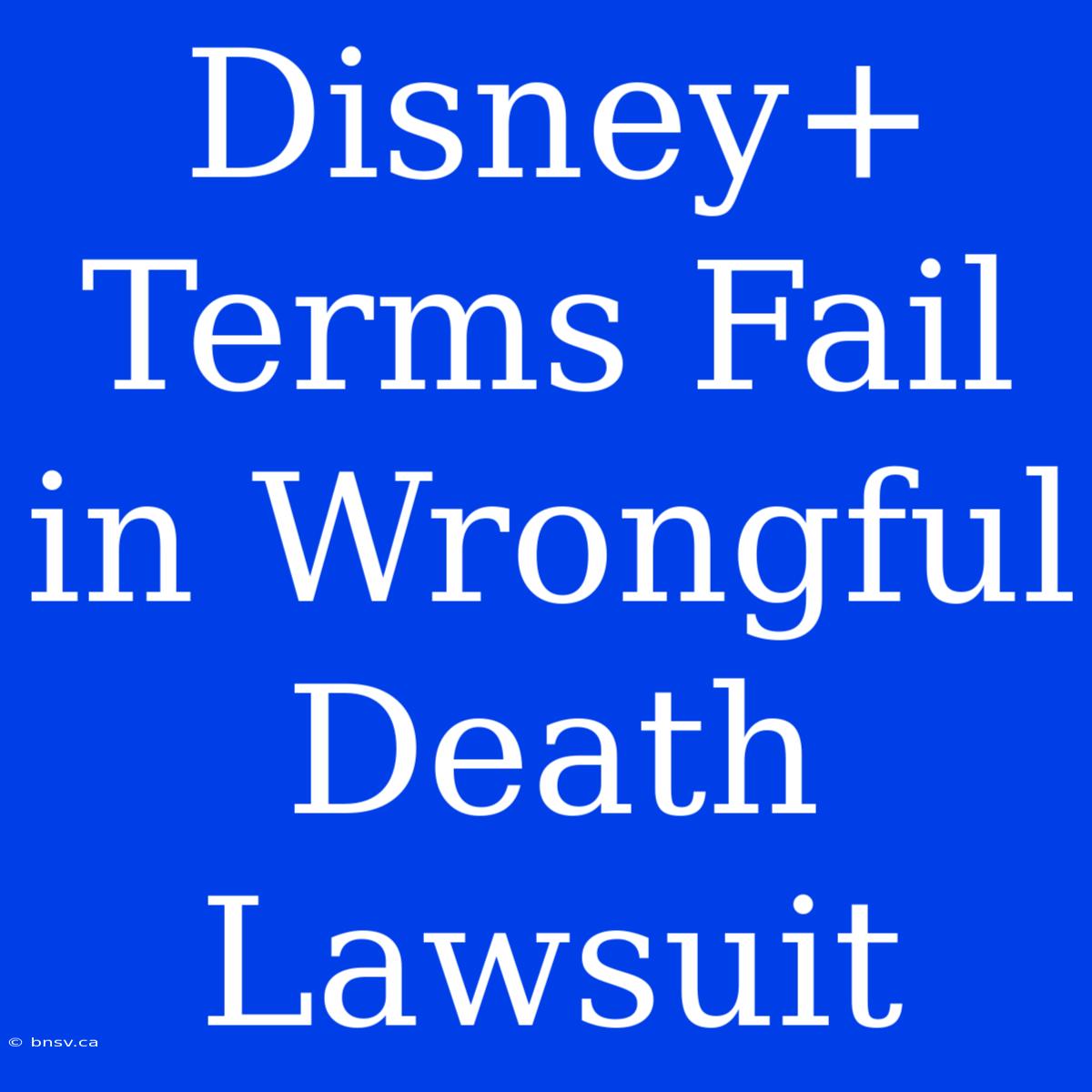 Disney+ Terms Fail In Wrongful Death Lawsuit