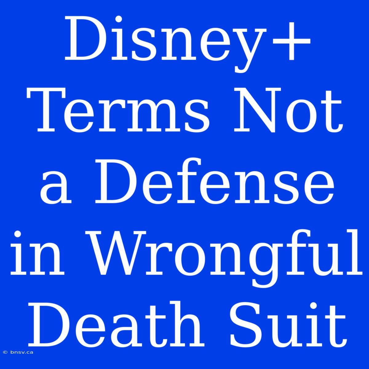 Disney+ Terms Not A Defense In Wrongful Death Suit