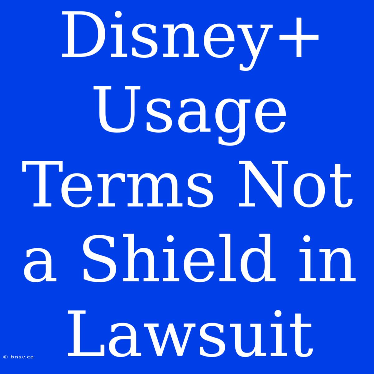 Disney+ Usage Terms Not A Shield In Lawsuit