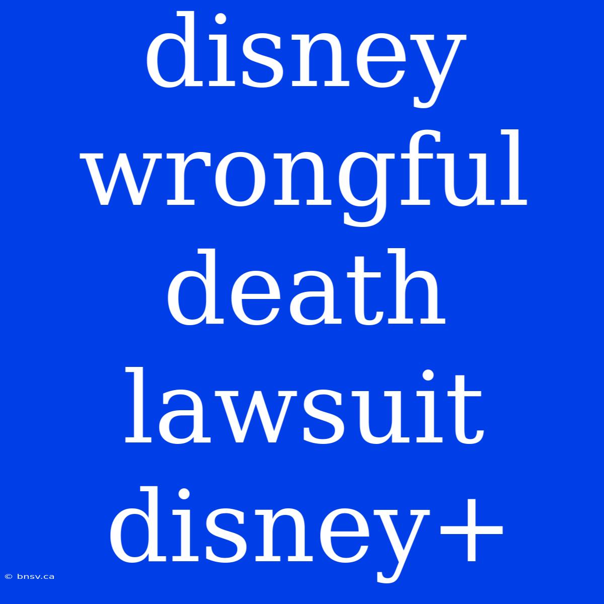 Disney Wrongful Death Lawsuit Disney+