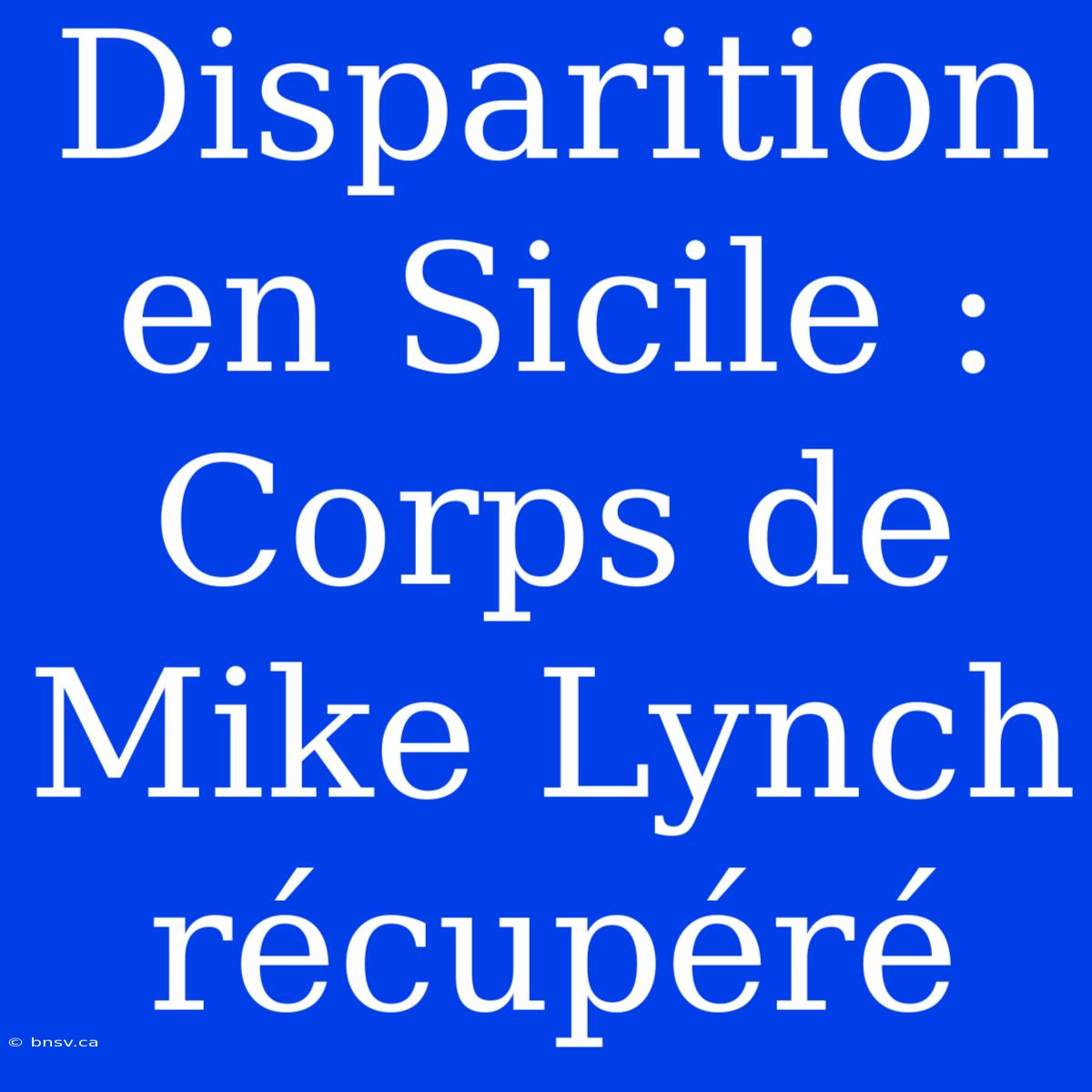 Disparition En Sicile : Corps De Mike Lynch Récupéré