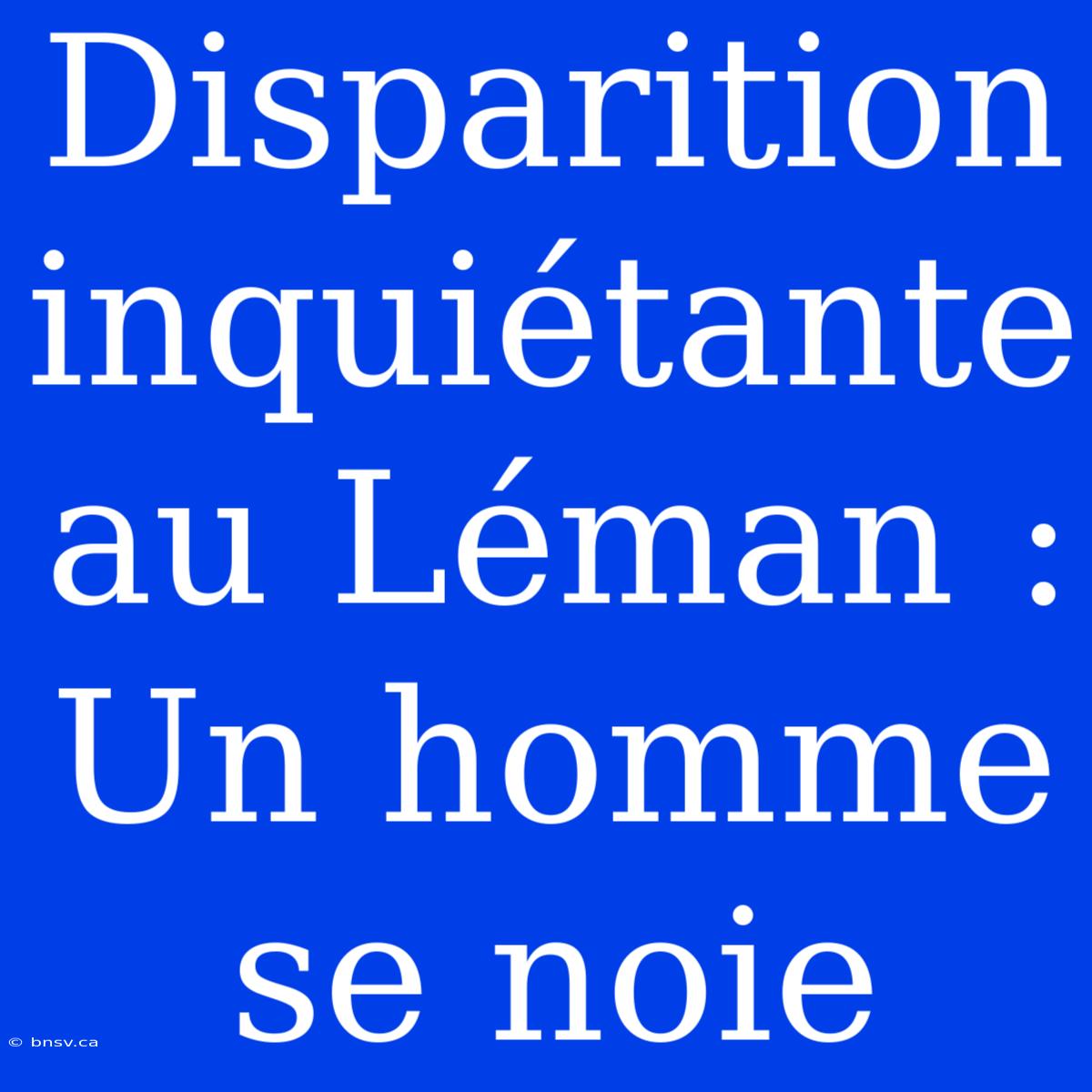 Disparition Inquiétante Au Léman : Un Homme Se Noie