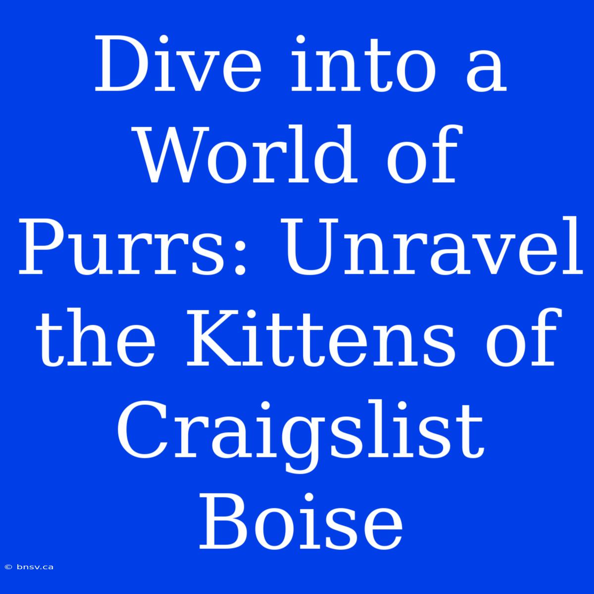 Dive Into A World Of Purrs: Unravel The Kittens Of Craigslist Boise