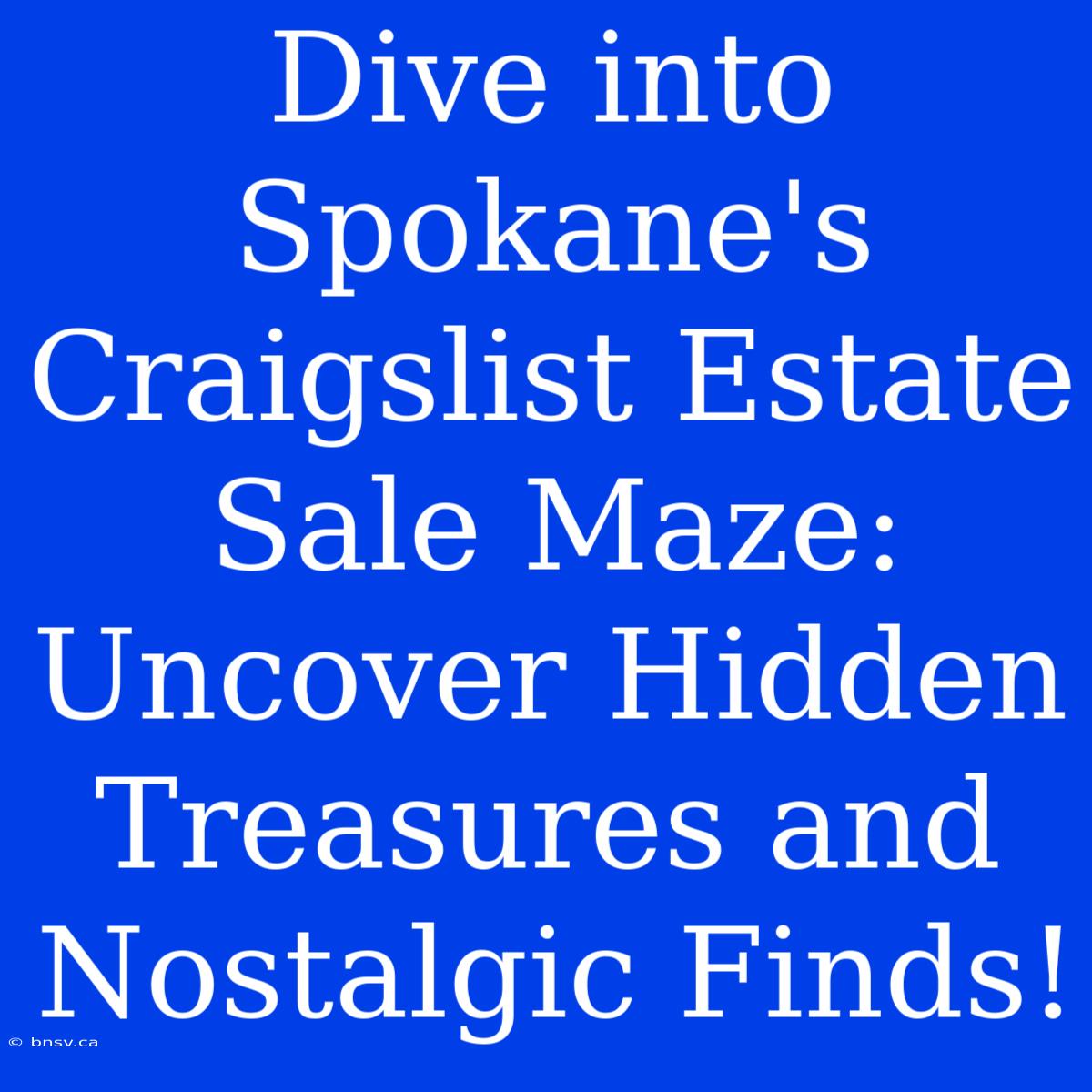 Dive Into Spokane's Craigslist Estate Sale Maze: Uncover Hidden Treasures And Nostalgic Finds!