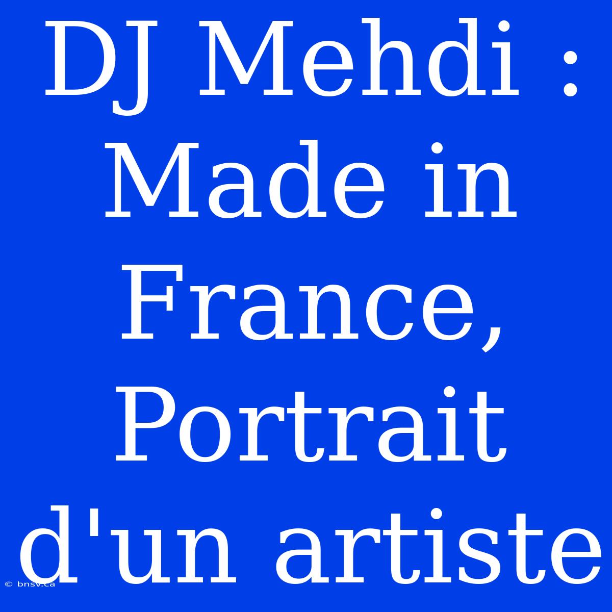 DJ Mehdi : Made In France, Portrait D'un Artiste