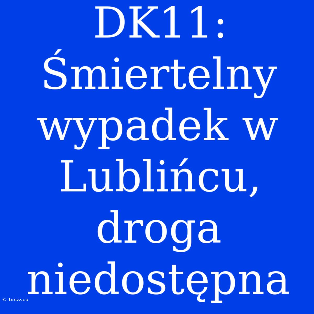 DK11: Śmiertelny Wypadek W Lublińcu, Droga Niedostępna