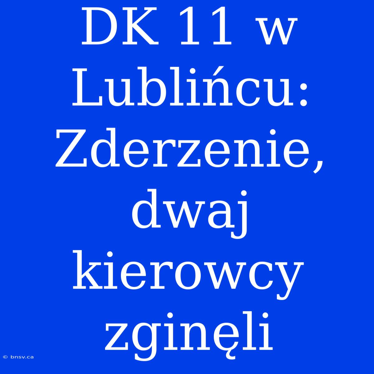 DK 11 W Lublińcu: Zderzenie, Dwaj Kierowcy Zginęli