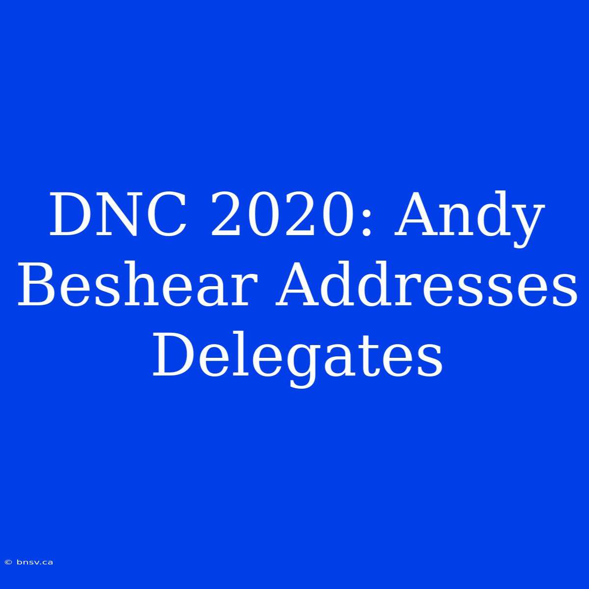 DNC 2020: Andy Beshear Addresses Delegates