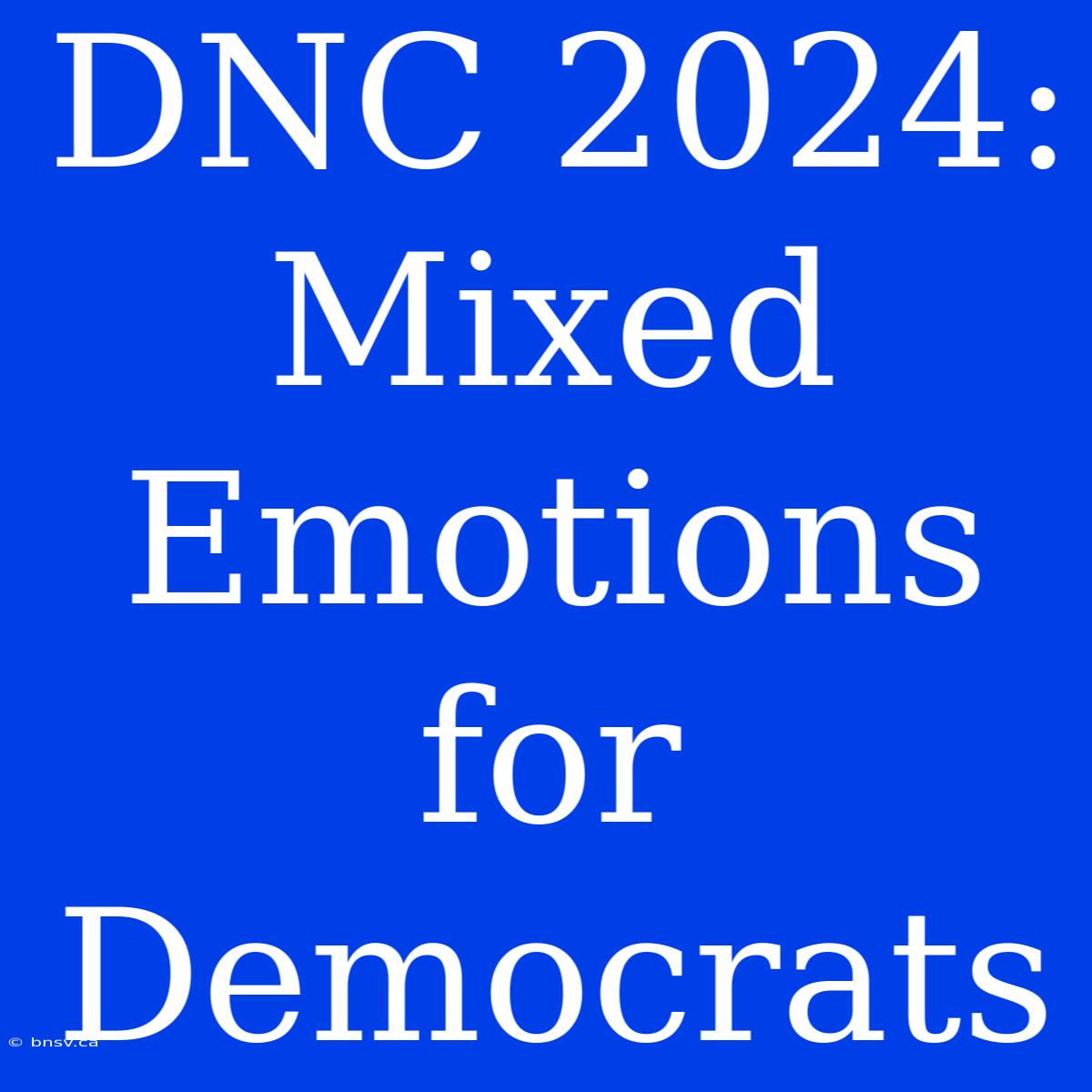 DNC 2024: Mixed Emotions For Democrats