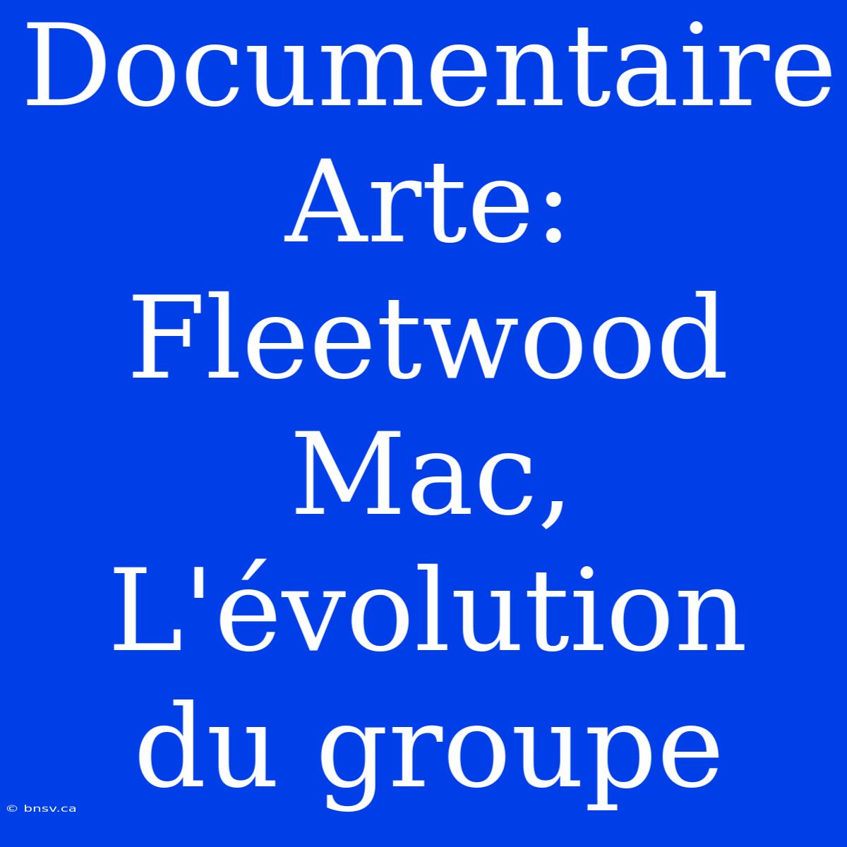 Documentaire Arte: Fleetwood Mac, L'évolution Du Groupe